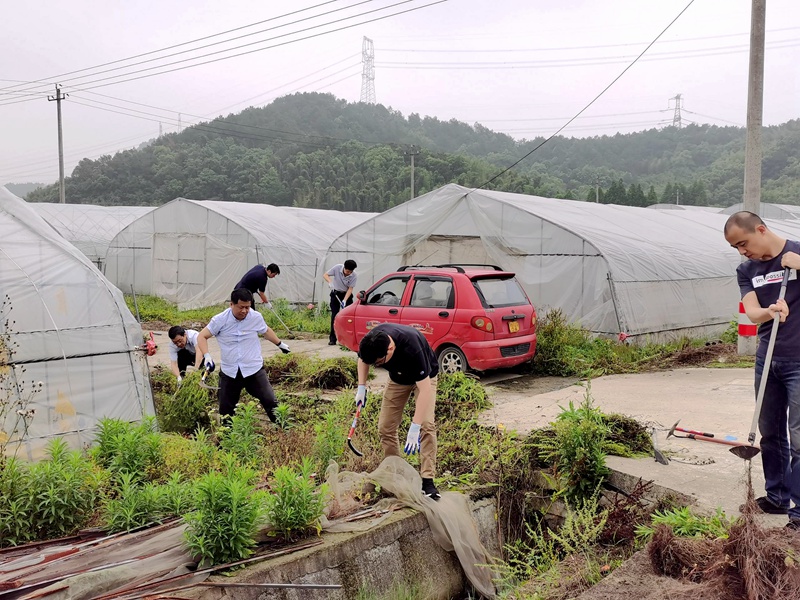 行動(dòng)踐初心 除草助農(nóng)忙——集團(tuán)第三黨支部開展主題黨日黨員實(shí)踐活動(dòng)