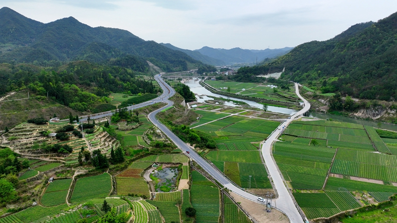 浙農(nóng)浙貝母、杭白菊基地通過(guò)中藥材GAP延伸檢查