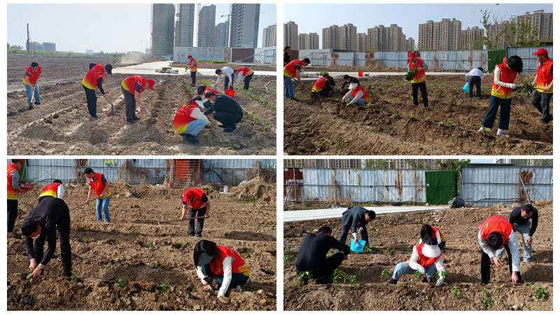 濟(jì)寧華都黨員公益服務(wù)隊(duì)開展“植蔬助困”公益活動