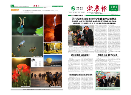 浙農(nóng)報2013年第12期（一、四版）